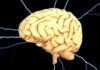 Energía: ¿clave en la aparición de Alzheimer? Energía: ¿clave en la aparición de Alzheimer?