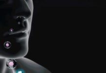 ‘Cellbots’, diminutos robots por vía intranasal para tratar enfermedades neurológicas ‘Cellbots’, diminutos robots por vía intranasal para tratar enfermedades neurológicas