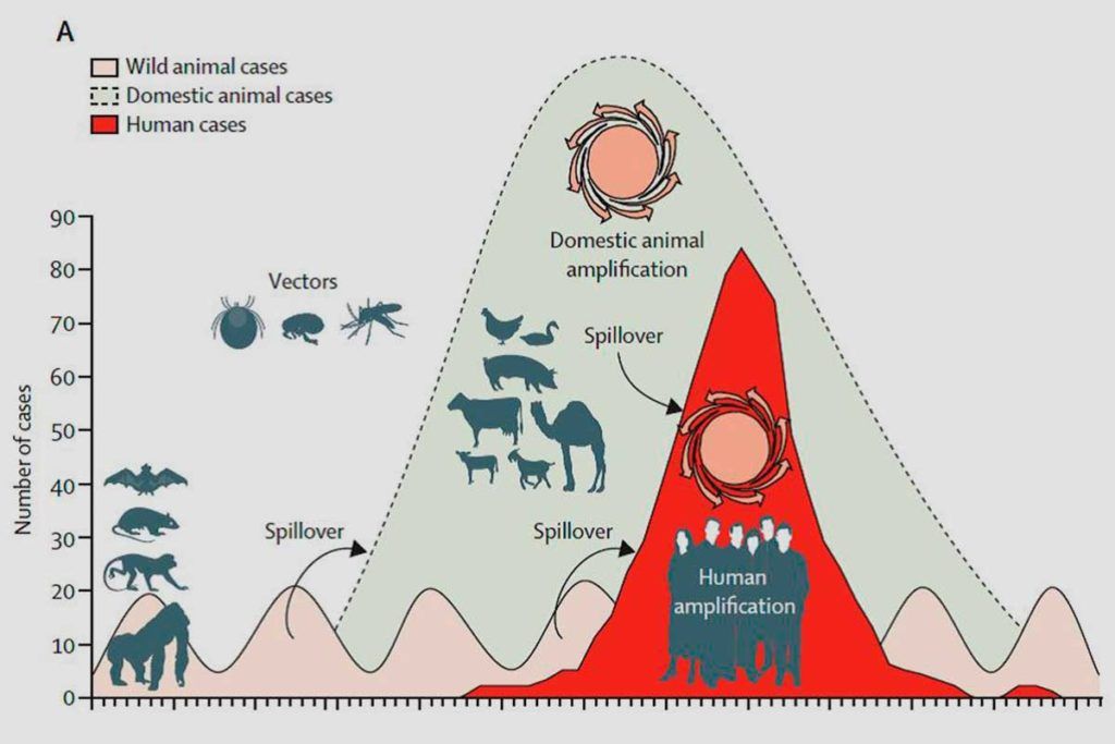 El viaje evolutivo de ómicron