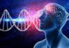 Alzheimer: identifican 75 factores de riesgo génicos Alzheimer: identifican 75 factores de riesgo génicos