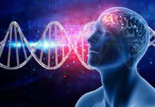 Alzheimer: identifican 75 factores de riesgo génicos Alzheimer: identifican 75 factores de riesgo génicos