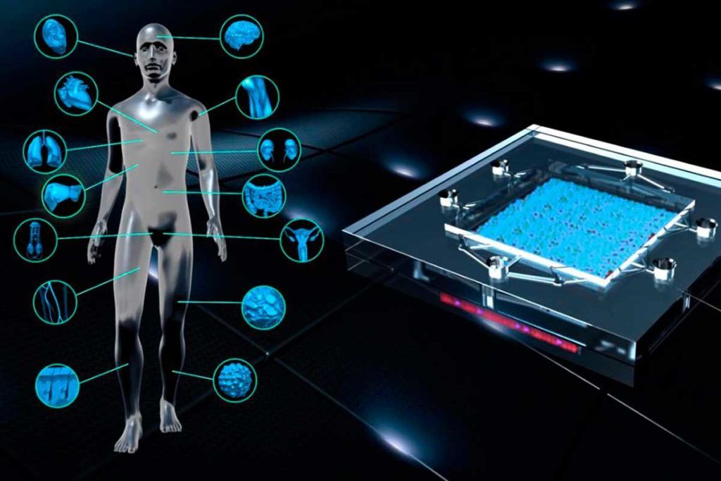 ‘Chip de tejido’ para enfermedades neuromusculares raras