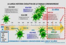 Crónica de una apoptosis anunciada Crónica de una apoptosis anunciada
