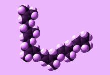 Farmacología: encuentran un nuevo tipo de triterpenos que no requiere escualeno Farmacología: encuentran un nuevo tipo de triterpenos que no requiere escualeno