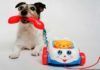 ¿Cómo piensan los perros en sus juguetes? ¿Cómo piensan los perros en sus juguetes?