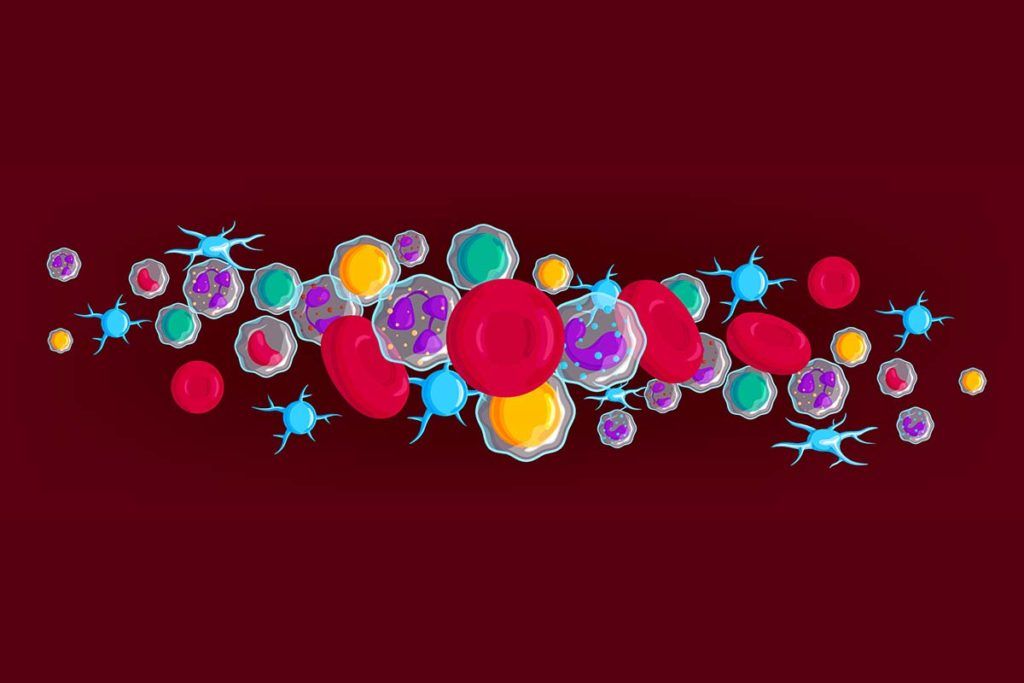 'Twitter' entre células