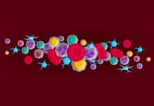 ‘Twitter’ entre células 'Twitter' entre células