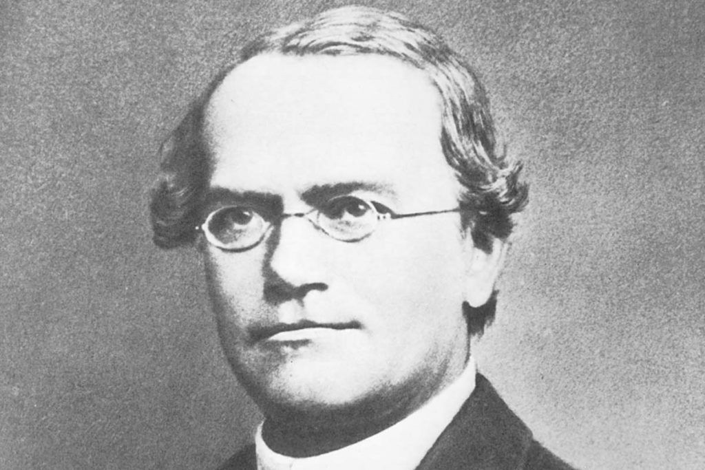 Bicentenario del nacimiento de Mendel y 50 años de la muerte del genetista español Zulueta