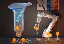 Crean virus fagos contra bacterias multirresistentes Crean virus fagos contra bacterias multirresistentes