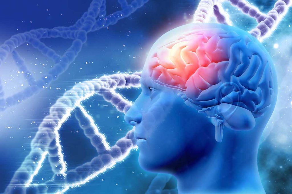 Un español halla 50 genes involucrados en el Parkinson