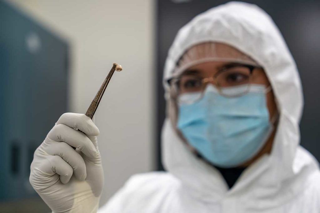 La peste negra modificó nuestro sistema inmune hace 700 años