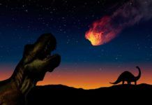 El asteroide que extinguió a los dinosaurios provocó un colosal tsunami El asteroide que extinguió a los dinosaurios provocó un colosal tsunami