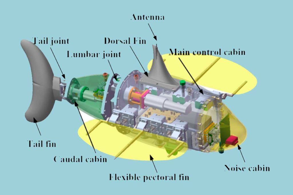 ‘RobDact’, el nuevo submarino biónico