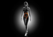 Hallan un nuevo gen que activa el cáncer de colon Hallan un nuevo gen que activa el cáncer de colon