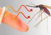 Nuevo repelente de insectos imprimible y portátil Nuevo repelente de insectos imprimible y portátil