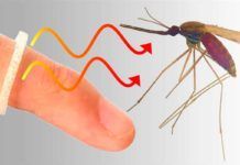 Nuevo repelente de insectos imprimible y portátil Nuevo repelente de insectos imprimible y portátil