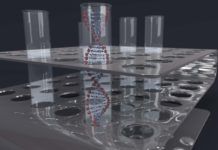 Eliminan el cáncer en laboratorio con ADN sintético Eliminan el cáncer en laboratorio con ADN sintético