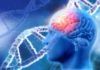 Encuentran tres nuevos genes vinculados con Esclerosis Múltiple Encuentran tres nuevos genes vinculados con Esclerosis Múltiple