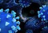 Tres años de coronavirus, a examen Tres años de coronavirus, a examen