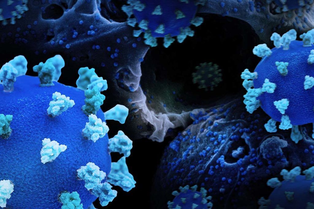 Tres años de coronavirus, a examen