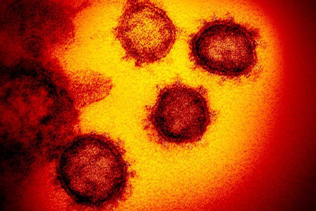 Hallan una nueva entrada en las células del coronavirus
