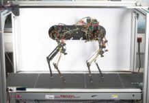 ‘Morti’, el perro robot que aprendió a andar en una hora ‘Morti’, el perro robot que aprendió a andar en una hora