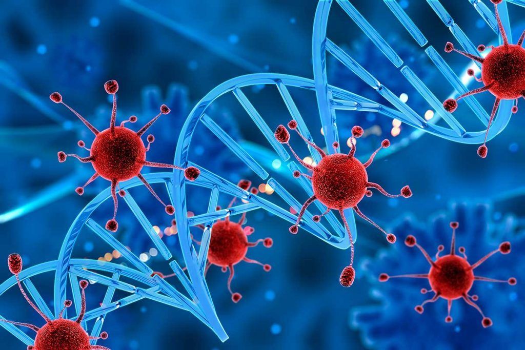 Un nuevo trastorno génico causa susceptibilidad a infecciones oportunistas