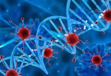 Nuevo trastorno génico que causa susceptibilidad a infecciones oportunistas Un nuevo trastorno génico causa susceptibilidad a infecciones oportunistas