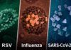 Nueva generación de vacunas para coronavirus y gripe Nueva generación de vacunas para coronavirus y gripe