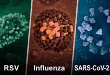 Nueva generación de vacunas para coronavirus y gripe Nueva generación de vacunas para coronavirus y gripe