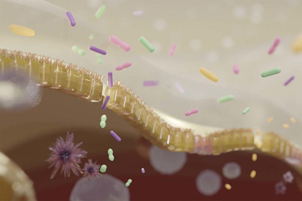 Relacionan tres bacterias de la microbiota con demencia con cuerpos de Lewy