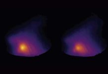 ¿Cómo el cerebro percibe el frío y el calor? ¿Cómo el cerebro percibe el frío y el calor?