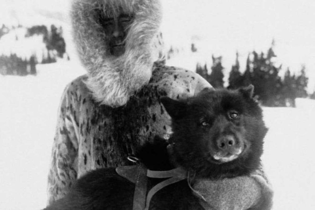 De difteria, genomas de perros esquimales y el primer Nobel de Medicina