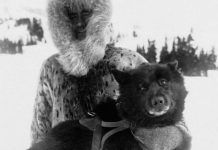 De difteria, genomas de perros esquimales y el primer Nobel de Medicina De difteria, genomas de perros esquimales y el primer Nobel de Medicina