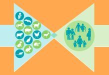Las zoonosis víricas, una amenaza permanente Las zoonosis víricas, una amenaza permanente