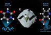 Hallan un componente básico del ARN en el asteroide Ryugu Hallan un componente básico del ARN en el asteroide Ryugu