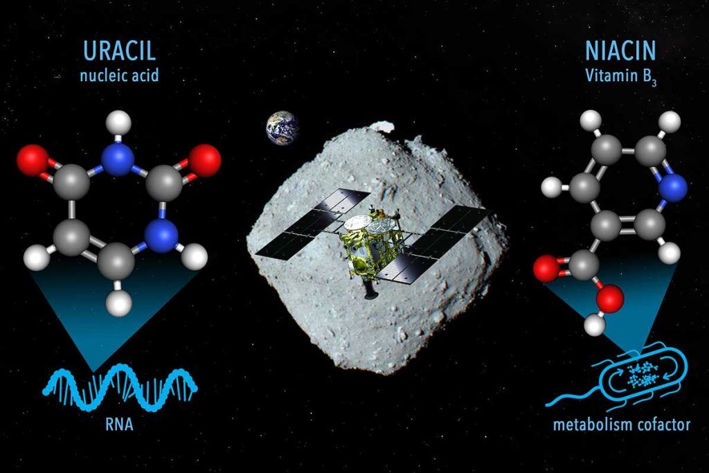 Hallan un componente básico del ARN en el asteroide Ryugu