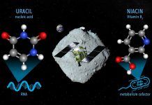 Hallan un componente básico del ARN en el asteroide Ryugu Hallan un componente básico del ARN en el asteroide Ryugu