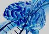 Genes específicos de cada sexo contribuyen a la enfermedad de Alzheimer Genes específicos del sexo contribuyen a la enfermedad de Alzheimer