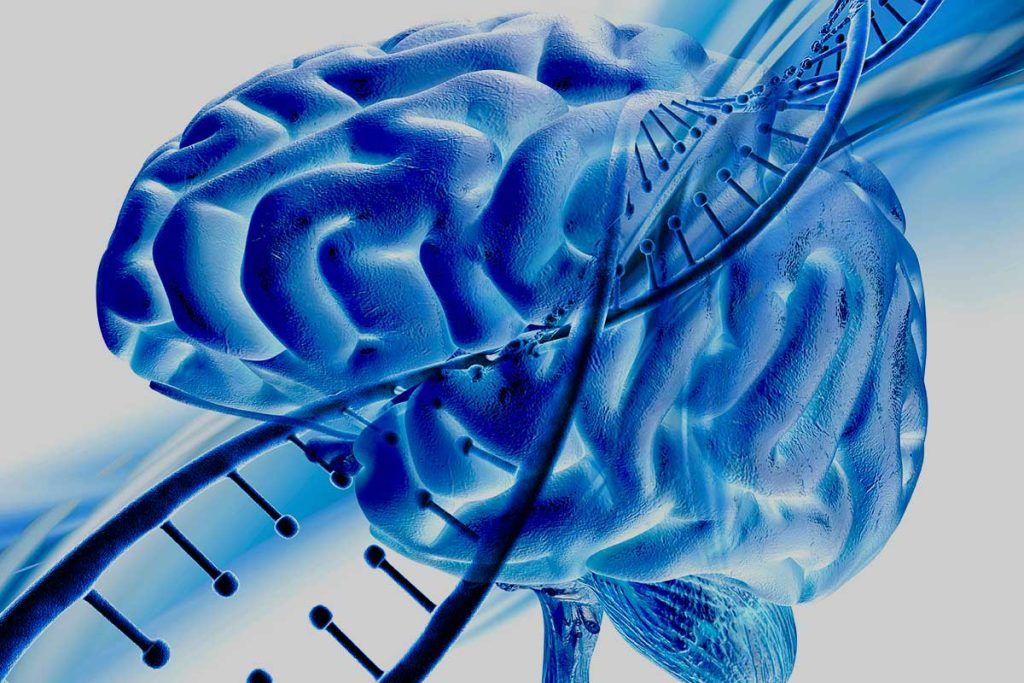 Genes específicos del sexo contribuyen a la enfermedad de Alzheimer