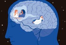 La estimulación cerebral profunda en el sueño consolida la memoria La estimulación cerebral profunda en el sueño consolida la memoria