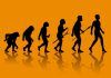 Nuevos datos sobre el origen de los humanos en África Nuevos datos sobre el origen de los humanos en África