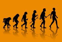 Nuevos datos sobre el origen de los humanos en África Nuevos datos sobre el origen de los humanos en África