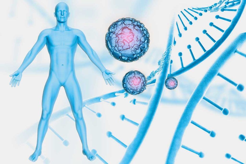 XLP-2: avances en la enfermedad ultrarrara con bacterias recombinantes