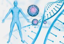 XLP-2: avances en la enfermedad ultrarrara con bacterias recombinantes XLP-2: avances en la enfermedad ultrarrara con bacterias recombinantes