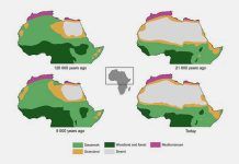 El Sáhara dejó de ser verde al cambiar la órbita de la Tierra l Sáhara dejó de ser verde al cambiar la órbita de la Tierra