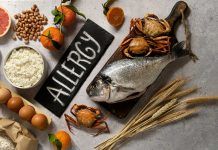 Una proteína mantiene la tolerancia a los alimentos Una proteína mantiene la tolerancia a los alimentos