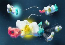 Los lenguajes moleculares, básicos para la nanotecnología Los lenguajes moleculares, básicos para la nanotecnología