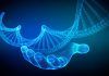 A propósito de inteligencia organoide y las redes neuronales biológicas A propósito de inteligencia organoide y las redes neuronales biológicas
