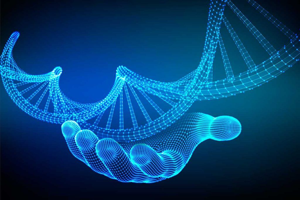 A propósito de inteligencia organoide y las redes neuronales biológicas